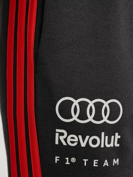 Adidas трикотажні шорти x Audi