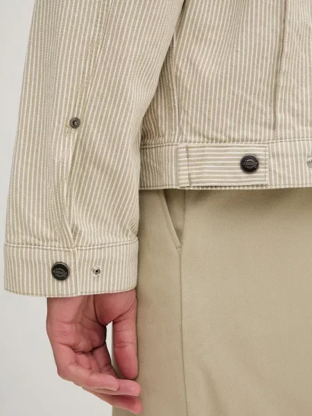 Dickies демісезонна куртка