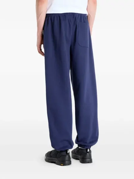 Pantaloni The North Face albastru
