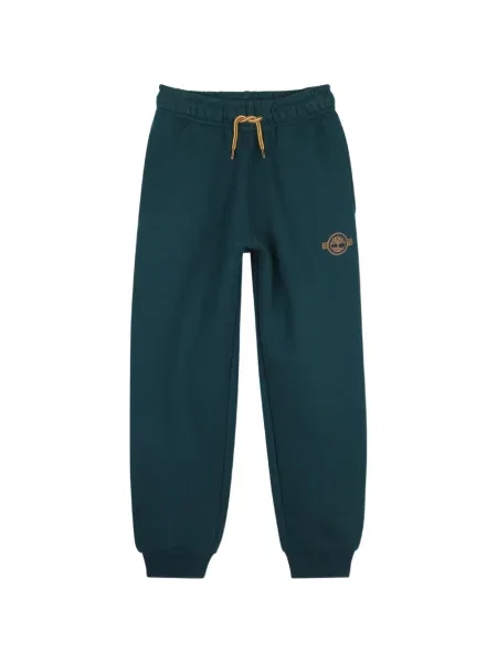 Spodnie dziecięce Timberland zielone