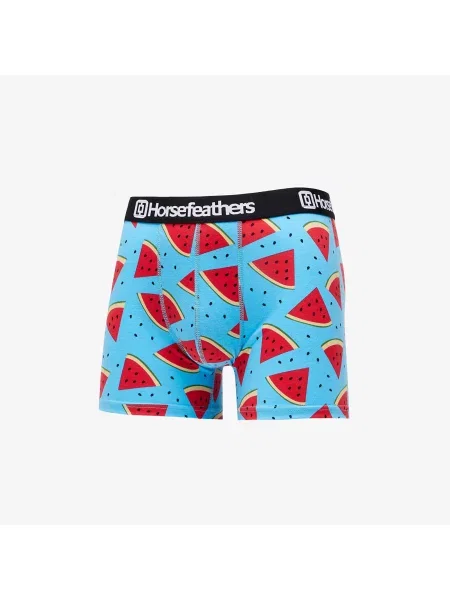 Шорти Horsefeathers