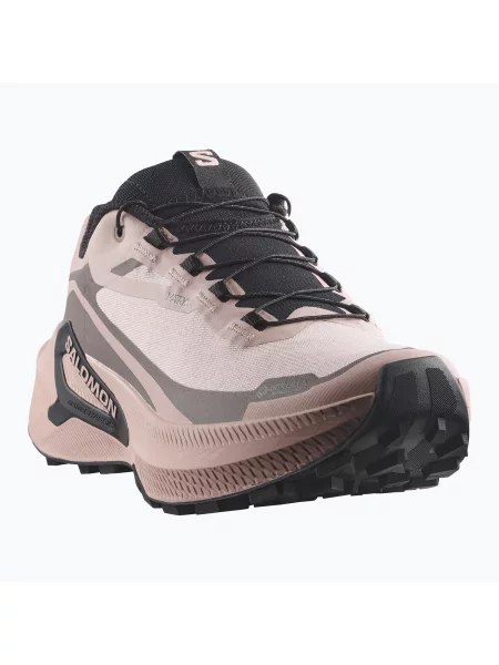 Încălțăminte de alergare pentru femei Salomon Genesis 2 GTX shadow gray/iron gri