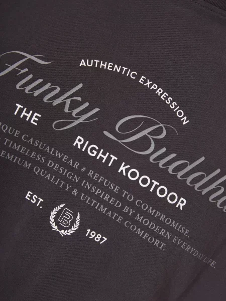 Funky Buddha Tricou metalic / deschis gri