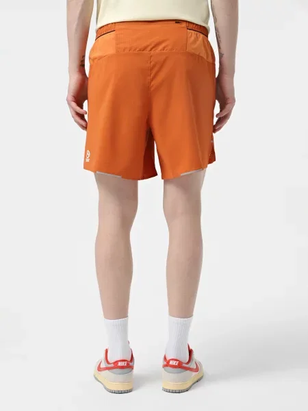 Спортивные шорты The North Face