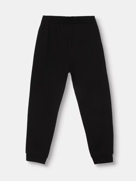 Детские спортивные штаны Ea7 Emporio Armani