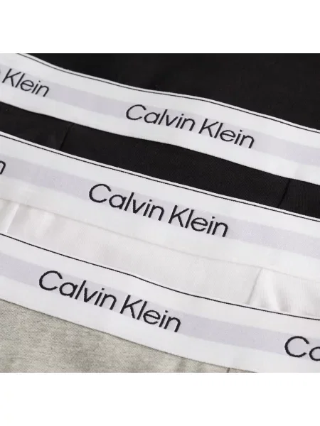 Majtki z elastycznym paskiem z logo w zestawie 3 szt. Calvin Klein Underwear szare