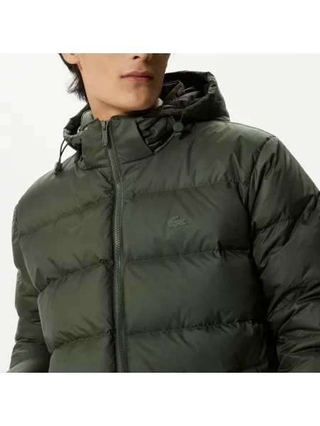 Lacoste Kurtka Lacoste zielona