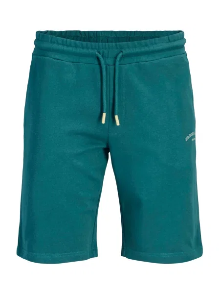 JACK & JONES Pantaloni JPSTGORDON petrol verde