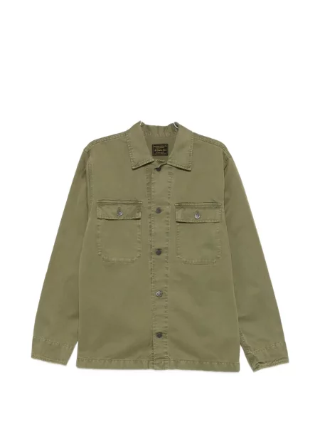 Риза Chesapeakes зелено