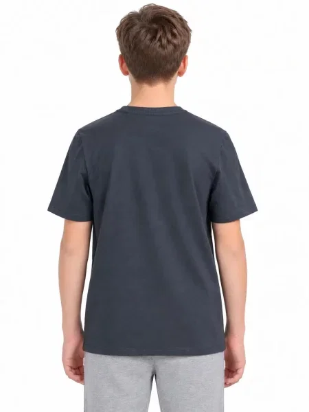 T-shirt chłopięcy 4F szara