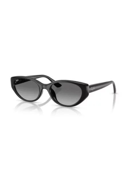 Ray-Ban Okulary Przeciwsłoneczne schwarz czarne