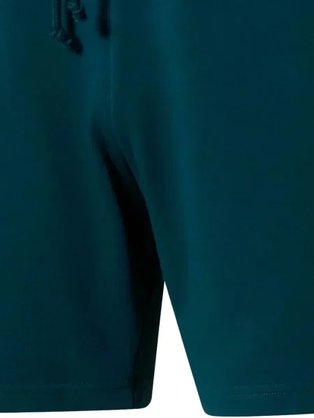 Pantaloni scurți Puma cu broderie albastru
