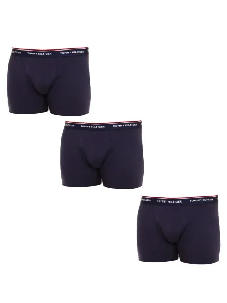Chiloți Tommy Hilfiger albastru