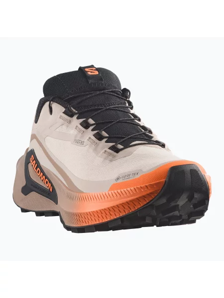Încălțăminte de alergare pentru femei Salomon Genesis 2 GTX rainy day/desert tan maro