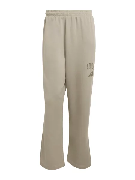 ADIDAS SPORTSWEAR Pantaloni sport COLLEGIATE deschis gri