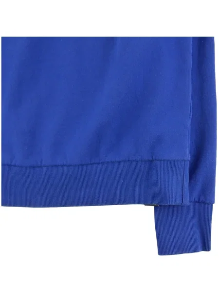 Geacă The North Face albastru