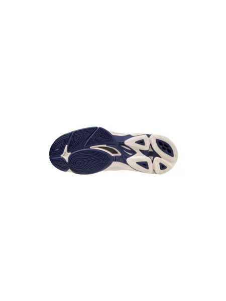 Pantofi Mizuno albastru