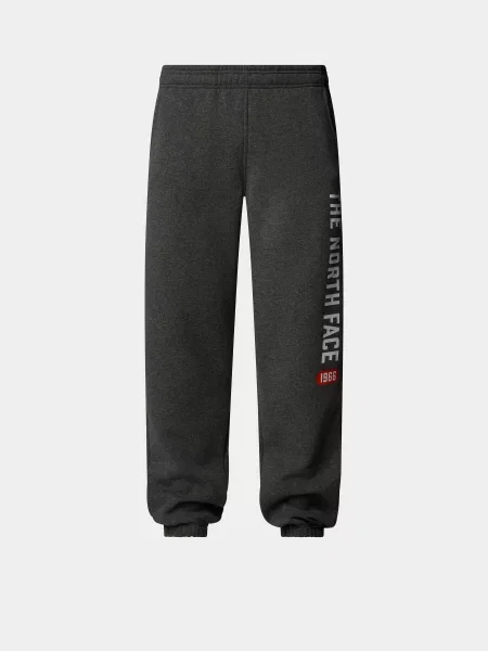 The North Face Штани повсякденні Бавовна/поліестер сірий