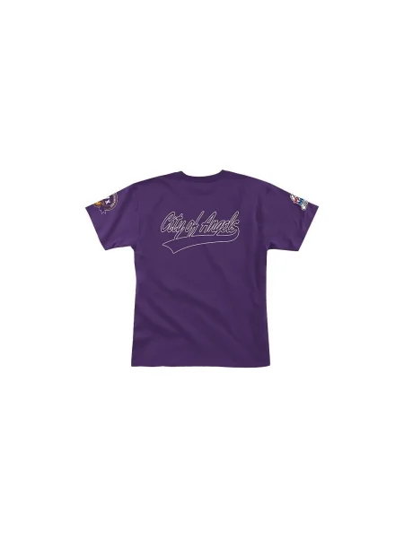 Tričko Mitchell & Ness fialová