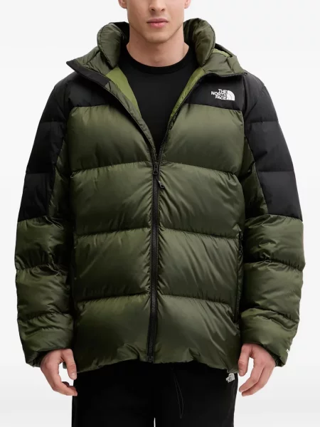 Geacă cu puf The North Face cu glugă verde