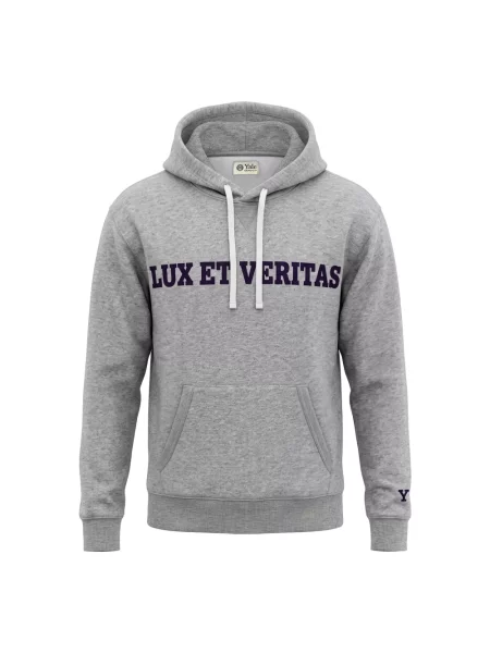 Bluza z kapturem Gant szara