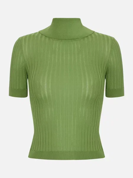 Топ Elisabetta Franchi зелений