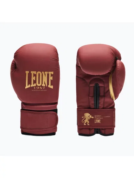 Рукавиці боксерські LEONE Idol various