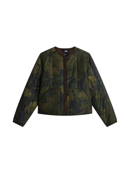 THE NORTH FACE Geacă de primăvară-toamnă pin / închis verde