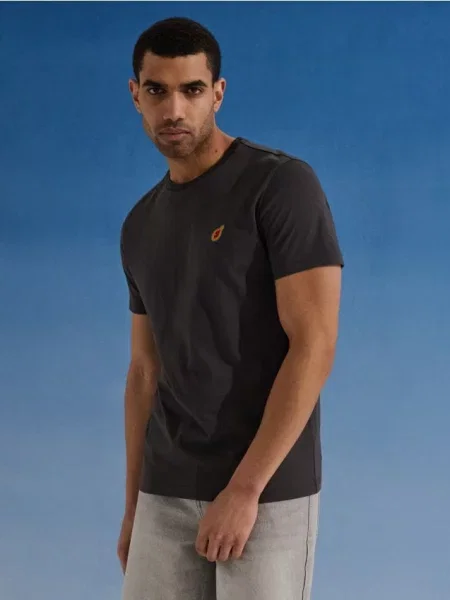 Sinsay koszulka z haftem w kształcie papai szary