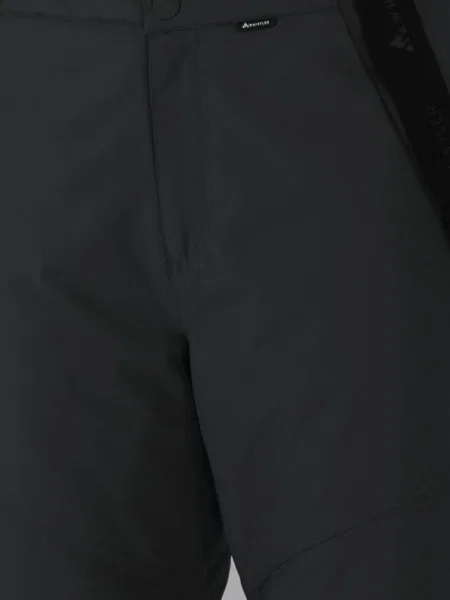 Pantaloni de schi Whistler negru