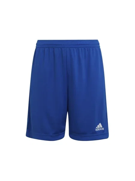 Bežecké nohavice Adidas modrá