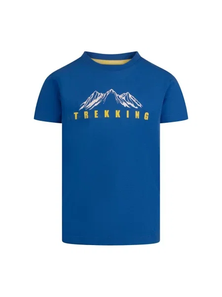 T-shirt Dla Chłopca Majestic niebieska