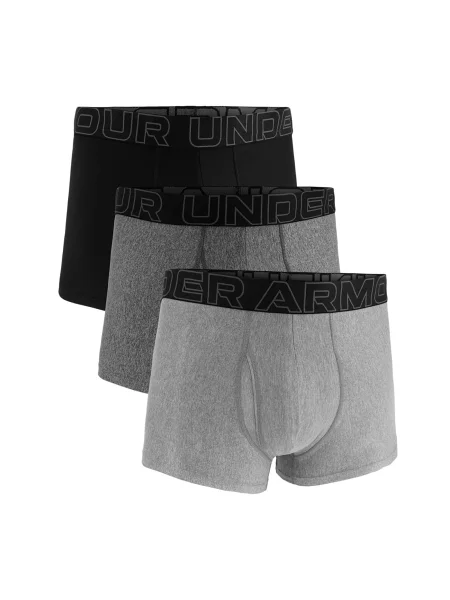 Chiloți Under Armour gri