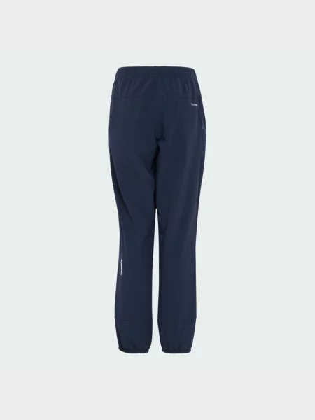 Лыжные штаны Adidas синие
