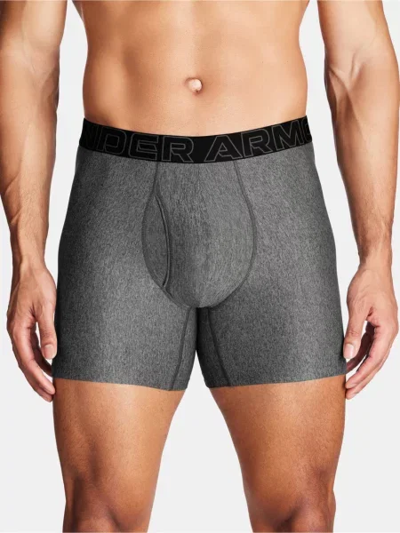 Šortky Under Armour sivá