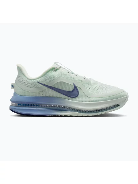Кросівки для бігу Nike Pegasus Premium barely green/work blue/blue void сині