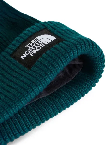 Căciulă The North Face verde