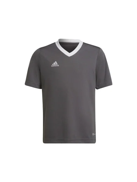 Gyerek póló Adidas szürke