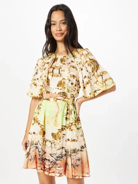 Karen Millen Rochie / maro caramel / portocaliu homar / verde limetă bej
