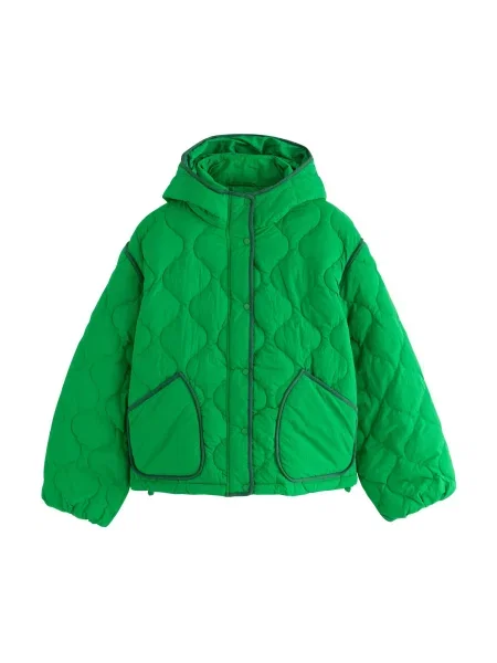 Next Geacă de primăvară-toamnă verde