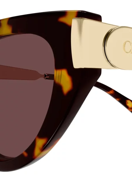 Sunčane naočale Chloé Eyewear smeđa