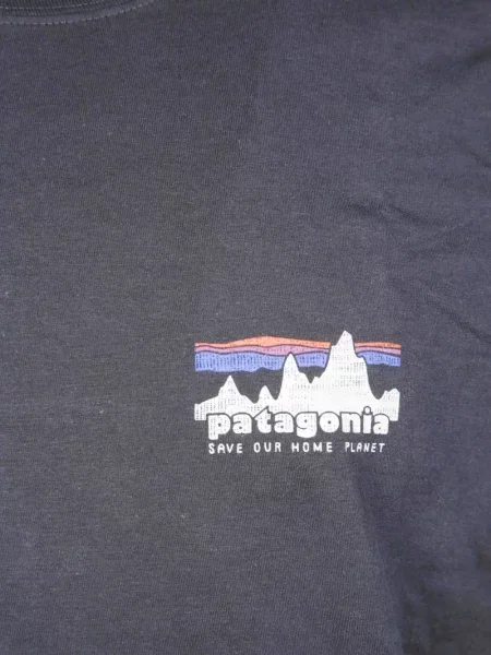 Tricou Patagonia gri