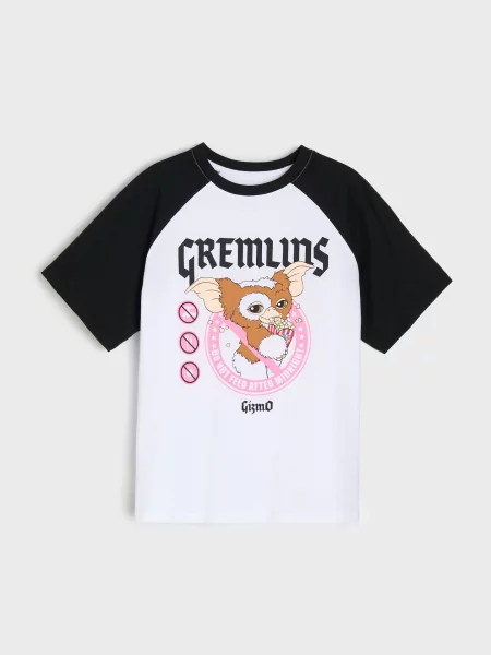 Sinsay tričko s krátkým rukávem Gremlins vícebarevná