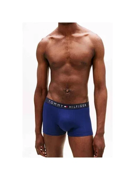 Gaćice Tommy Hilfiger