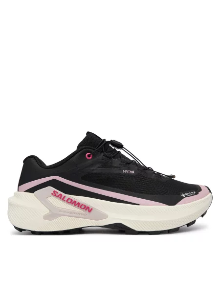 Pantofi pentru alergare Salomon Genesis 2 GTX negru