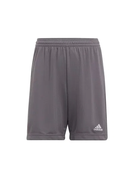 Šortky Adidas sivá