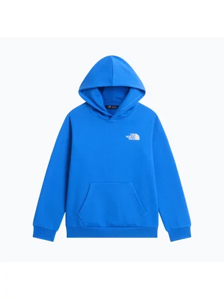 Bluză pentru copii The North Face Evolution Box NSE Pullover Hoodies active blue albastru