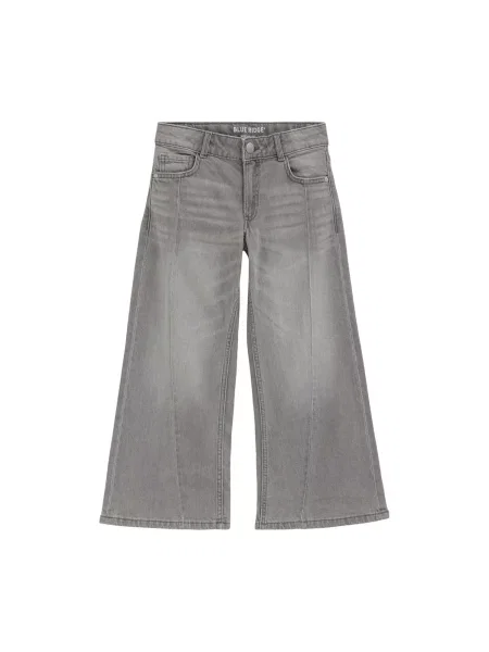 WE Fashion Jeans deschis gri