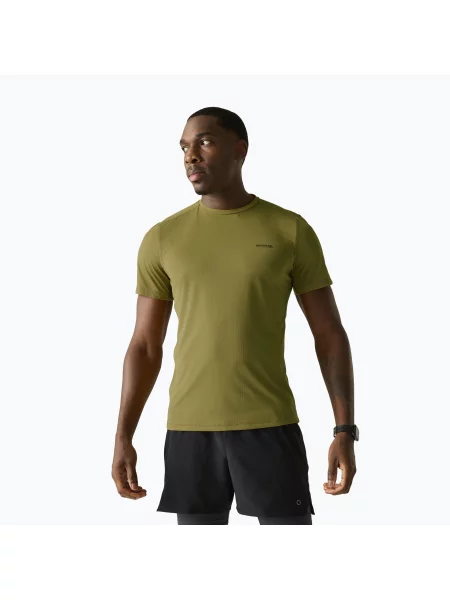 Мъжка тениска REGATTA Mindoi Anti Insect wood brown зелено