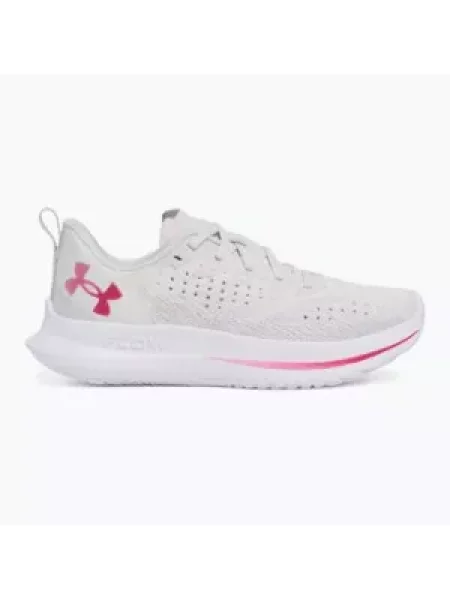 Кросівки для бігу Under Armour Velociti 4 SE halo gray/mod gray/shaded fuchsia фуксія
